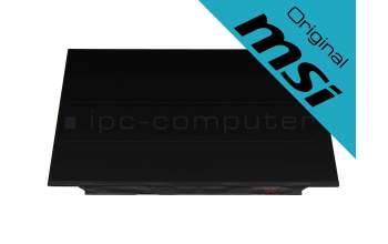 Original MSI IPS display FHD matt 120Hz for MSI Crosshair 17 B12UGZ/B12UGSZ (MS-17L3)