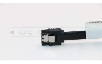 Lenovo 31024767 GS 2H300mmSATA calbe Latch(R)