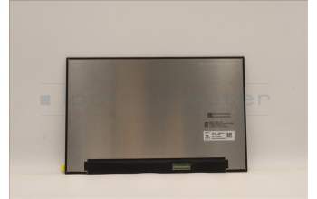 Lenovo 5D11G76214 DISPLAY FRU CSO MND307DA1-9 13.3 WQX