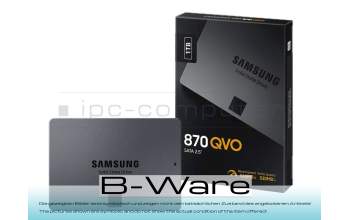 SSD1TR SSD 1TB (2.5 inches / 6.4 cm) b-stock