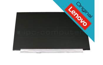 Lenovo 5D10W35433 original TN display HD (1366x768) matt 60Hz