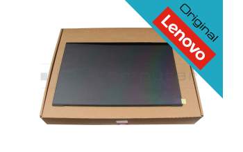 Lenovo 5D11F50177 original IPS display (1920x1200) matt 165Hz