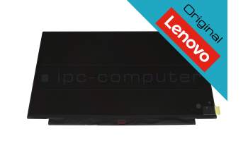 Lenovo SD10S72065 original TN display HD (1366x768) matt 60Hz