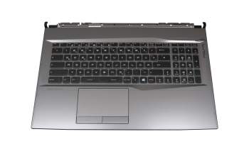 NSK-FCBBN 2G original Darfon keyboard incl. topcase DE (german) black/grey with backlight