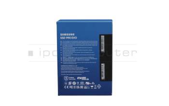 SS01S1 SSD 1TB (M.2 22 x 80 mm) (up to 5000 MB/s)