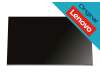 Lenovo 5D10W33976 original IPS display WQHD (2560x1440) matt 100Hz